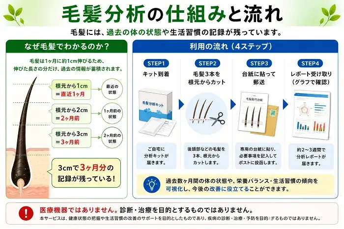 毛髪分析の仕組みと流れ