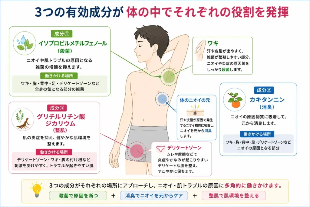 3つの有効成分が体の中でそれぞれの役割を発揮